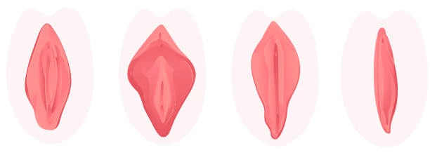 How to Treat Vaginal Atrophy?
