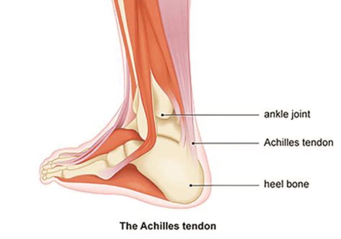 How can scar tissue massage for the achilles tendon repair?