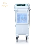 Oxygen Bubble Facial Beauty Machine