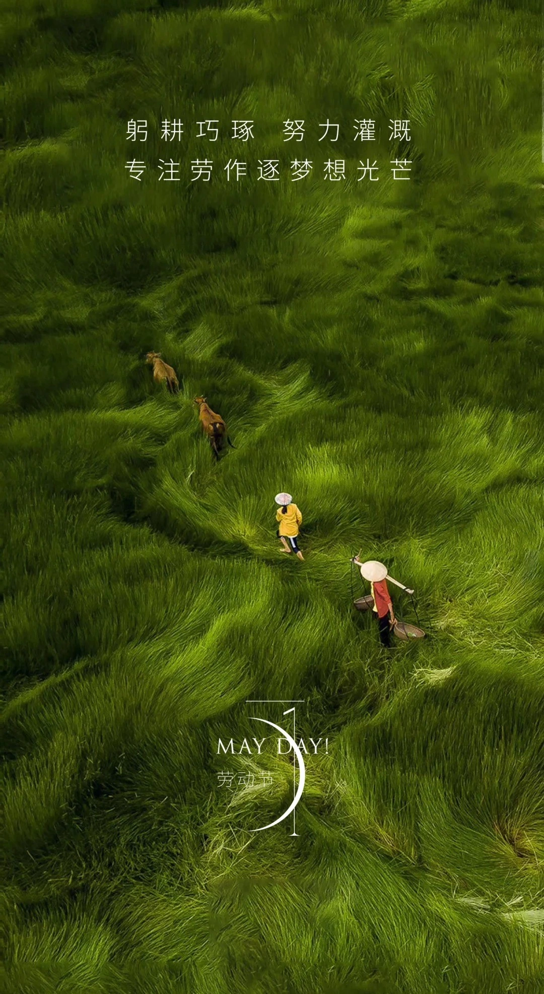 Holiday Notice: Qingming Festival & Labor Day 2025