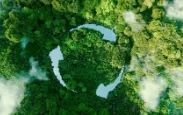 Beauty Equipment: Industry Innovation and Environmental Practices in Sustainable Development