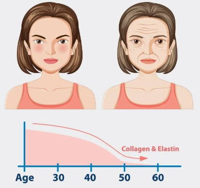Cold Plasma (Part 2)｜The Root-Cause Solution to Skin Laxity and Enlarged Pores