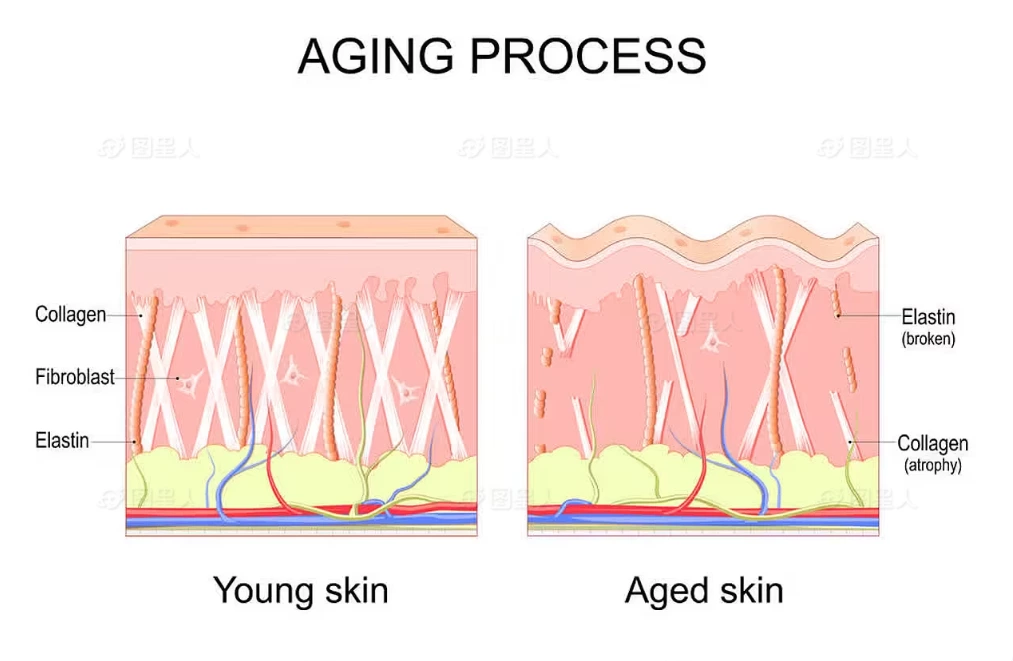 Mechanism Of 3d Cyclone Wave: How Triple-frequency + 3d Dynamic Field Works