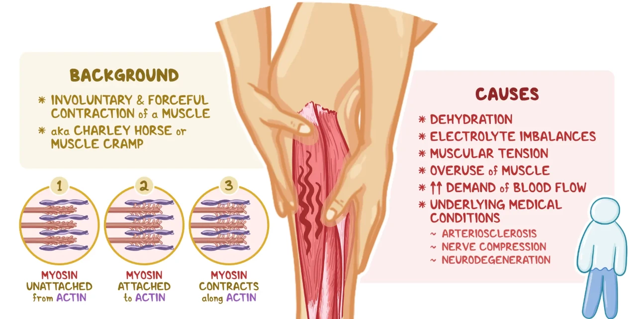 3D Cyclone Wave System for Muscle Pain Relief: How Multi-Frequency Microcurrent Therapy Reduces Pain and Restores Mobility